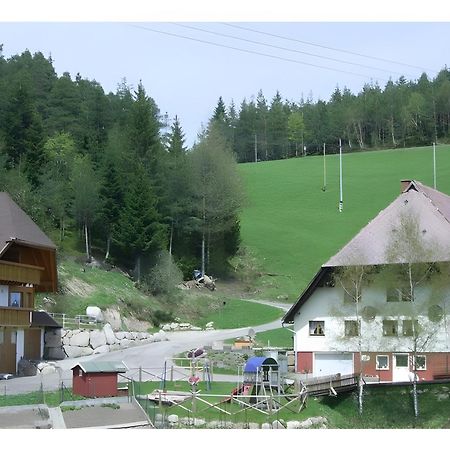 Вилла Hinterhauensteinhof Хорнберг Экстерьер фото