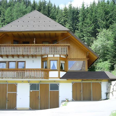 Вилла Hinterhauensteinhof Хорнберг Экстерьер фото