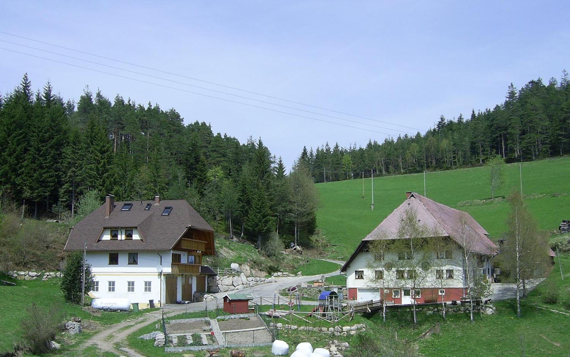 Вилла Hinterhauensteinhof Хорнберг Экстерьер фото